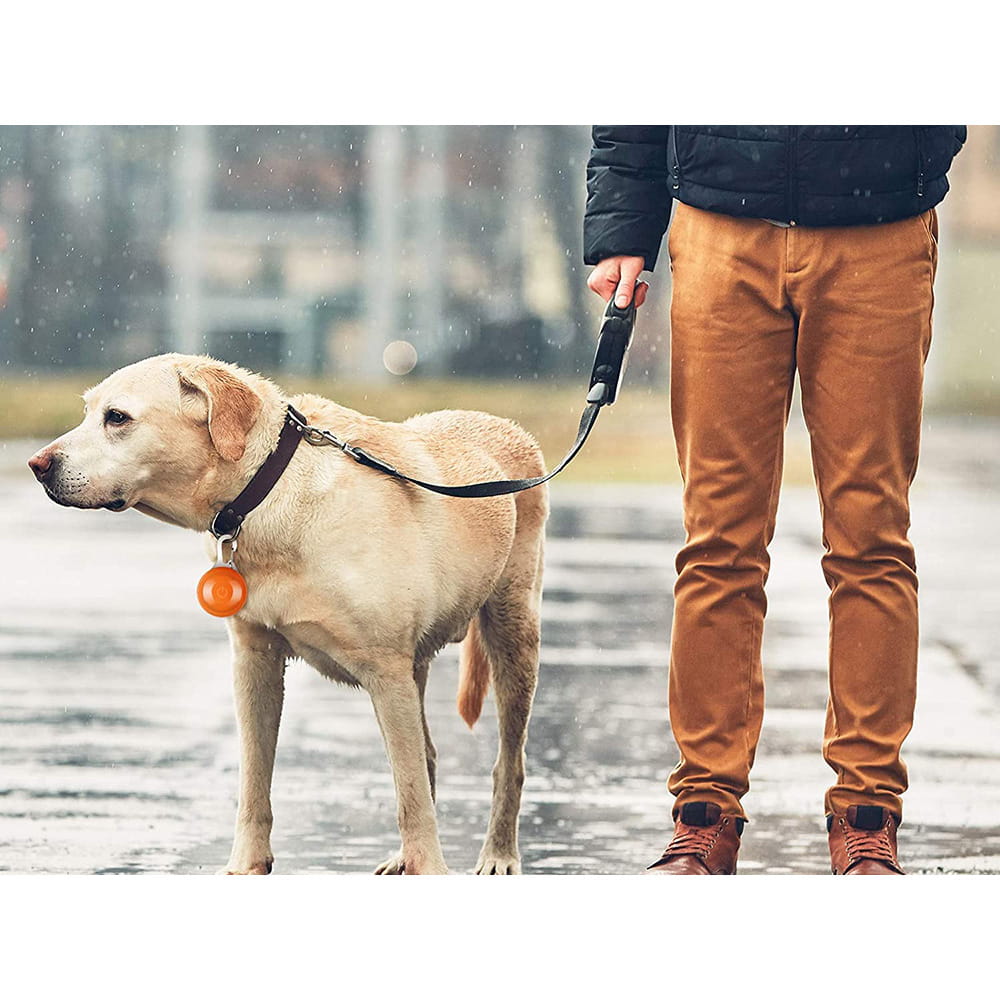 Świecąca Lampka LED na Obrożę dla Psa i Kota Zawieszka – Światełko Pomarańczowe
